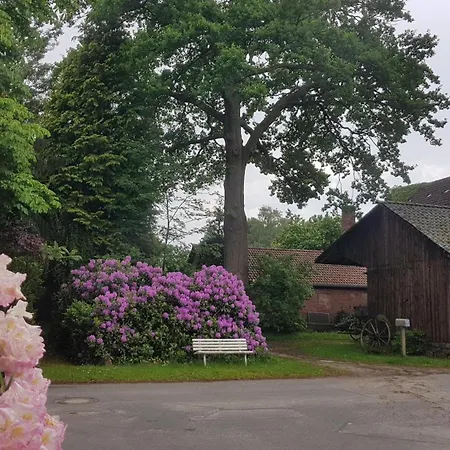 Corinna Bisping * Ollsen